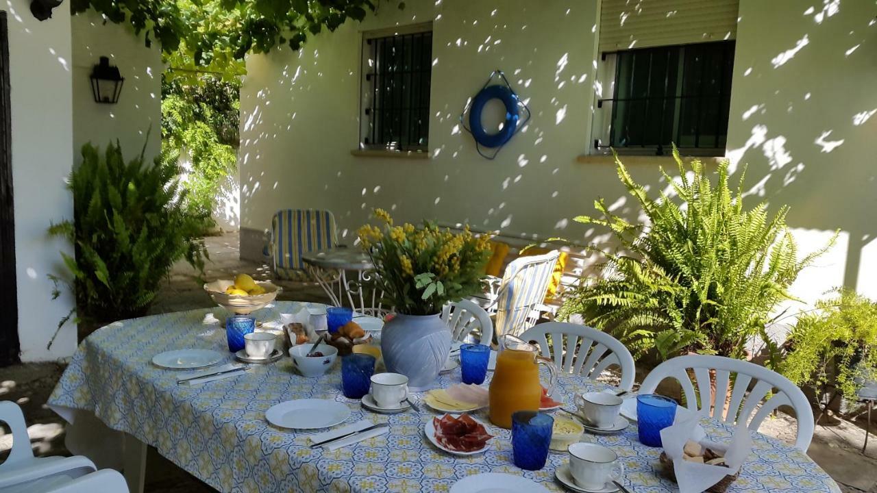 Chalet Junto Playa Y Centro Sanlúcar de Barrameda Kültér fotó